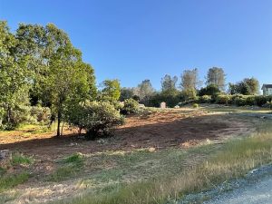 Brush and Land Clearing