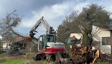 Project - Storm Cleanup and Tree Service